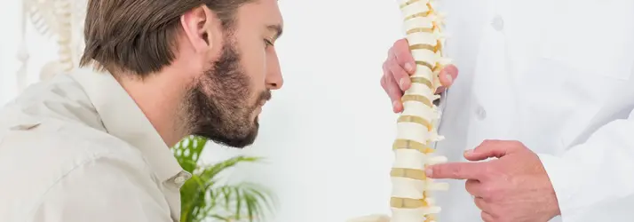 page-disc-injury spine model